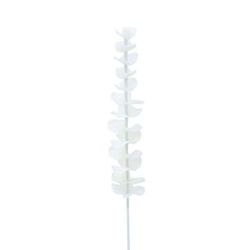 Plastik Eucalyptuszweig GLAUCO in Glasoptik, 12 Stück, weiß, 80cm