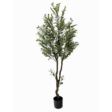 Plastik Olivenbaum SANKURU mit Früchten, Kunststamm, 180cm