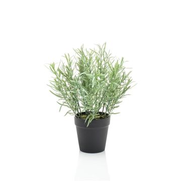 Künstliche Kräuter Deko Rosmarin WHOOPI im Dekotopf, grün, 25cm