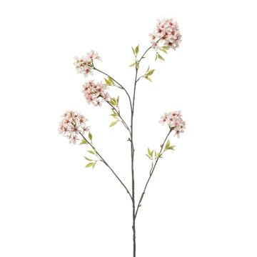 Deko Zweig Zierkirsche SLIRKO mit Blüten, hellrosa, 115cm