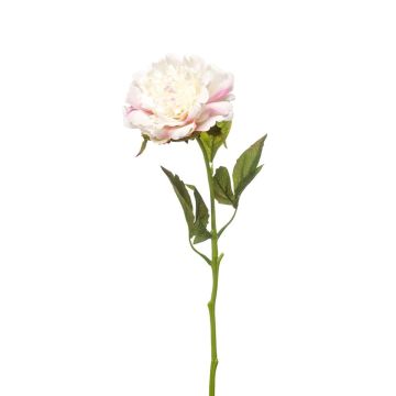 Kunstblume Pfingstrose GAVRON, weiß-rosa, 55cm