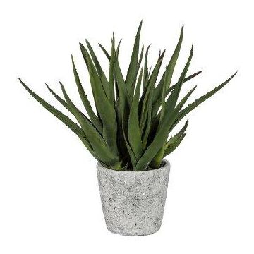Kunst Sukkulente Aloe Vera BRIZE im Zementtopf, grün, 45cm