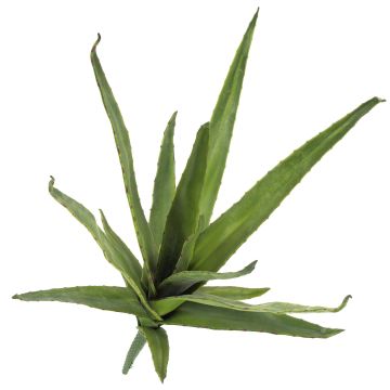Deko Aloe Vera VERENA, Stecker, crossdoor, grün, 50cm, Ø40cm