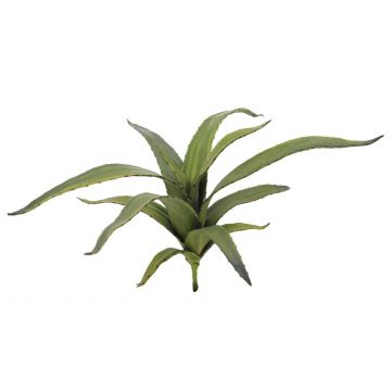 Deko Aloe Vera VERENA, Stecker, crossdoor, grün, 65cm, Ø50cm