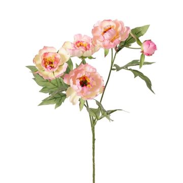 Künstlicher Zweig Pfingstrose LARDUAN, Eco Collection, rosa-weiß, 60cm, Ø7cm