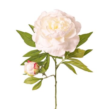 Kunstblume Pfingstrose WARDUAN, Eco Collection, weiß, 65cm, Ø15cm