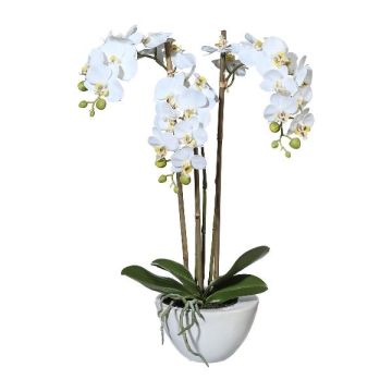 Künstliche Phalaenopsis Orchidee LARKEN im Keramikschale, Wurzeln, weiß, 50cm