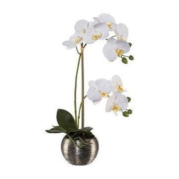 Kunstblume Phalaenopsis Orchidee ZARFU, Dekotopf silber, Wurzeln, weiß, 40cm