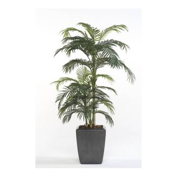 Areca Palme künstlich CAMYRA, 170cm