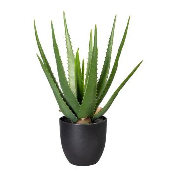Künstliche Sukkulente Aloe Vera KRONFA im Dekotopf, grün, 45cm