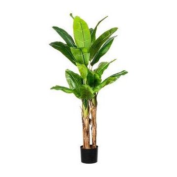 Kunspalme Bananenpflanze FABIEN, 150cm