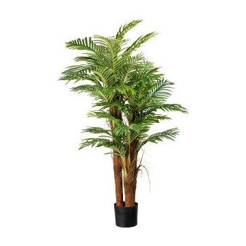 Deko Palme Areca IRENEA, 160cm