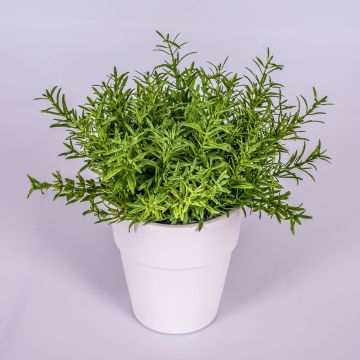 Künstliche Kräuter Rosmarin JOSHUA im Keramiktopf, grün, 23cm, Ø17cm