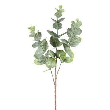 Deko Zweig Eukalyptus BLIFER, grau-grün, 50cm