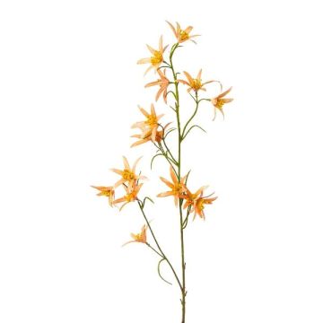 Kunstzweig Tweedia solanoides ZORHIL, metallic-orange, 75cm