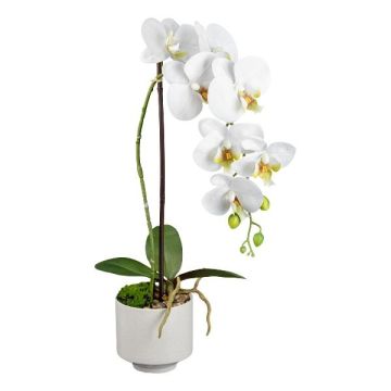 Kunst Phalaenopsis Orchidee YENJU im Keramiktopf, Wurzeln, weiß, 55cm