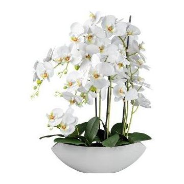 Kunstblume Phalaenopsis Orchidee XELAV, Keramikschale, weiß, 65cm