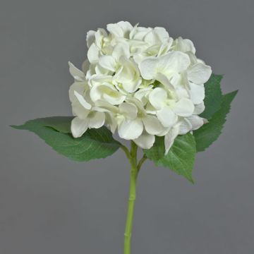 Hortensie Kunstblume GABRIELLA, creme, 50cm, Ø17cm