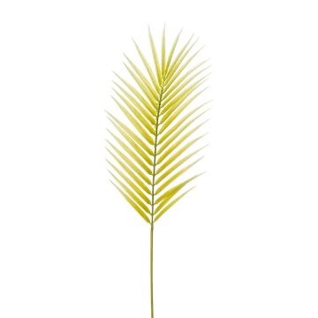 Areca Palmenwedel künstlich BOHAI, 100cm Areca Palmenwedel künstlich BOHAI, 100cm
