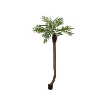 Künstliche Phönixpalme MANJANA, 240cm