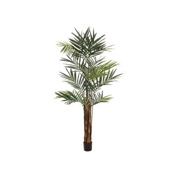 Künstliche Kentia Palme JACARANDA, 300cm