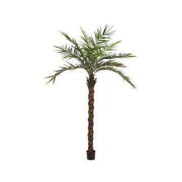 Künstliche Kentia Palme MARCOS, 300cm