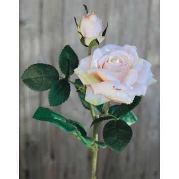 Samt Rose SINJE, zartrosa, 35cm, Ø9cm