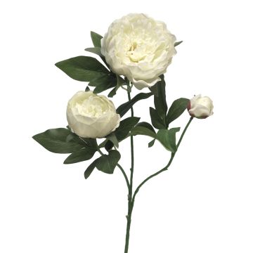 Dekozweig Pfingstrose MEIRU, creme, 70cm, Ø9-12cm