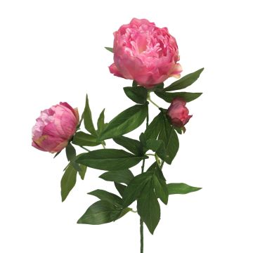 Dekozweig Pfingstrose MEIRU, pink, 70cm, Ø9-12cm