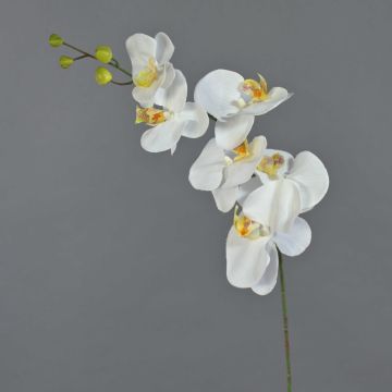 Kunstzweig Phalaenopsis Orchidee LANUA, creme, 70cm, Ø8,5-12cm