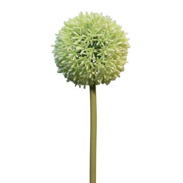 Kunstblume Allium BAILIN, creme-grün, 65cm