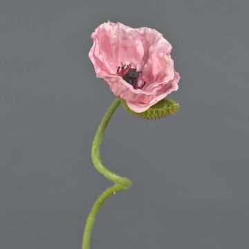 Dekoblume Mohnblume ANKANG, rosa, 70cm, Ø9,5cm
