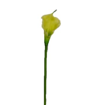 Dekoblume Zantedeschie DOU, gelb-grün, 70cm