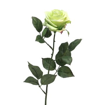 Künstliche Rose KAILIN, hellgrün, 65cm, Ø9cm