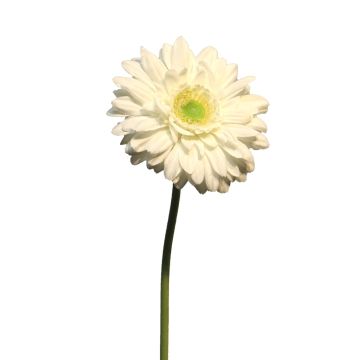 Kunstblume Gerbera QIUDONG, creme, 50cm