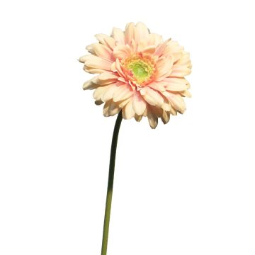 Kunstblume Gerbera QIUDONG, pfirsich-rosa, 50cm