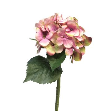 Kunstblume Hortensie XINCHENG, rosa-grün, 50cm