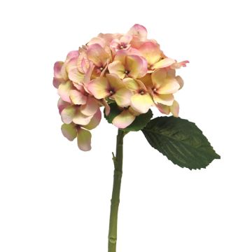 Kunstblume Hortensie XINCHENG, rosa-gelb, 50cm