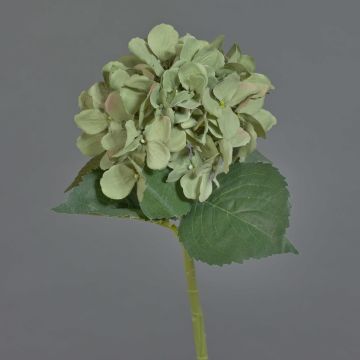 Kunstblume Hortensie FUXIANG, grün-rosa, 50cm, Ø16cm