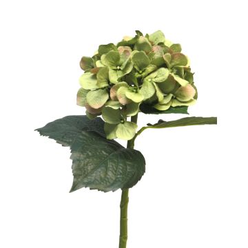 Kunstblume Hortensie FUXIANG, grün-rosa, 50cm