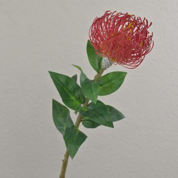 Künstliche Blume Nadelkissen Protea XIFANG, rot, 75cm, Ø10cm