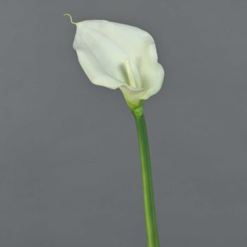 Kunstblume Zantedeschie ZHILONG, weiß, 55cm, 10x16cm