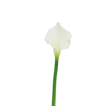 Kunstblume Zantedeschie ZHILONG, weiß, 55cm