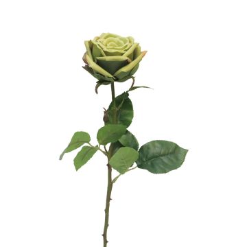Kunstblume Rose JIANHUA, grün, 70cm