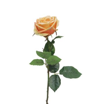 Kunstblume Rose JIANHUA, pfirsich, 70cm