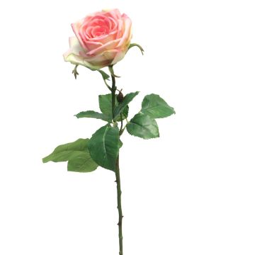 Kunstblume Rose JIANHUA, rosa-grün, 70cm
