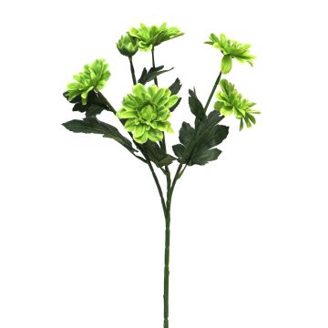 Dekozweig Chrysantheme LONGBAO, grün, 60cm