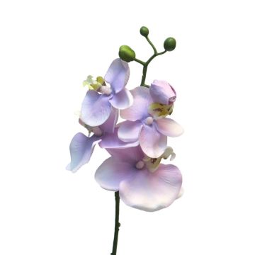 Kunstzweig Phalaenopsis Orchidee WENSHUO, rosa-lila, 55cm