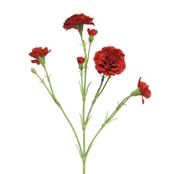 Dekoblume Nelke AHONG, rot, 60cm, Ø6-7cm