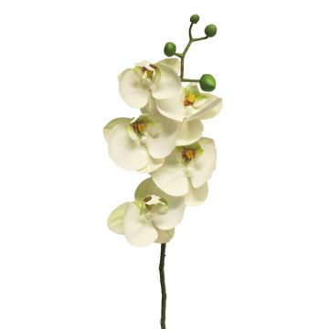Dekozweig Phalaenopsis Orchidee SONGYA, weiß, 55cm